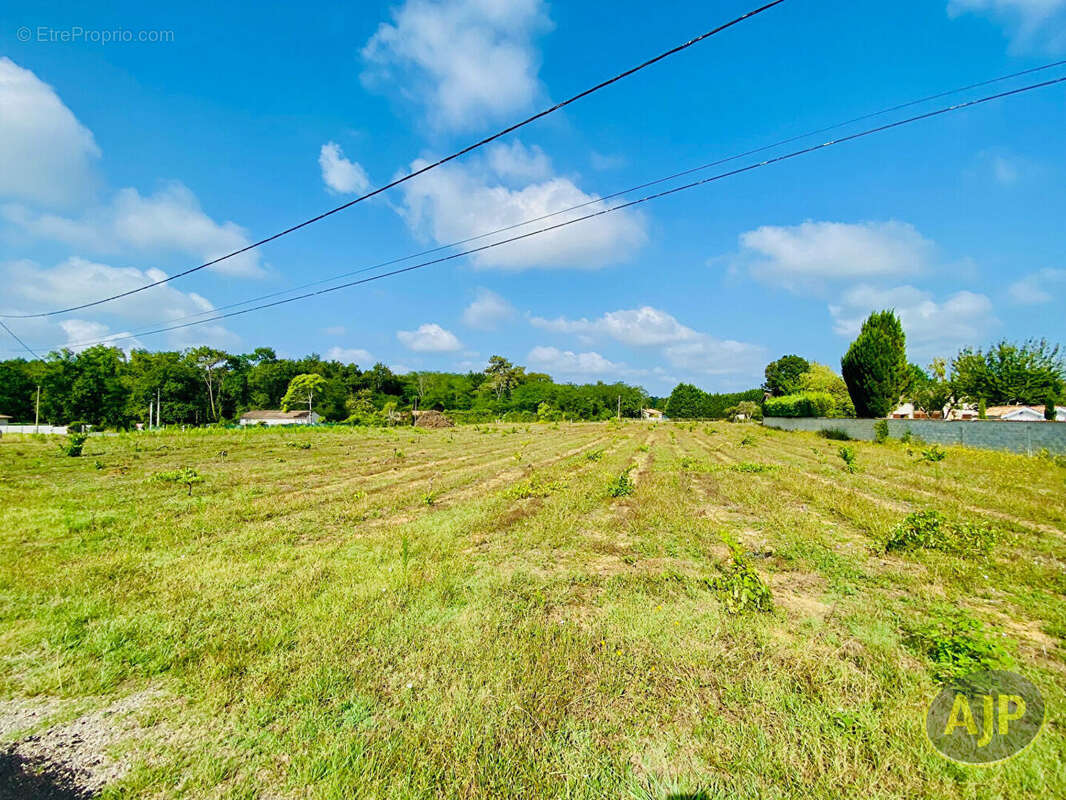 Terrain Saint Germain D Esteuil 2200 m2 - photo 3