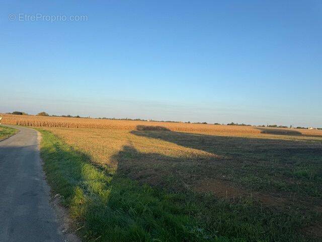 Terrain à BALANZAC