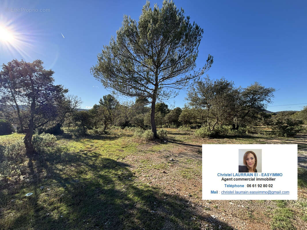 Terrain constructible en lotissement à Fox-Amphoux 1000.66m2 - photo 4
