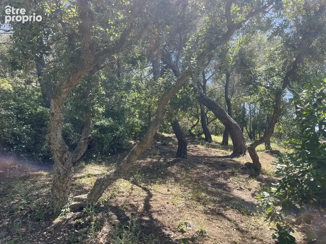 Terrain 8 590 m² à vendre à Six-Fours-Les-Plages (83140) - photo 2