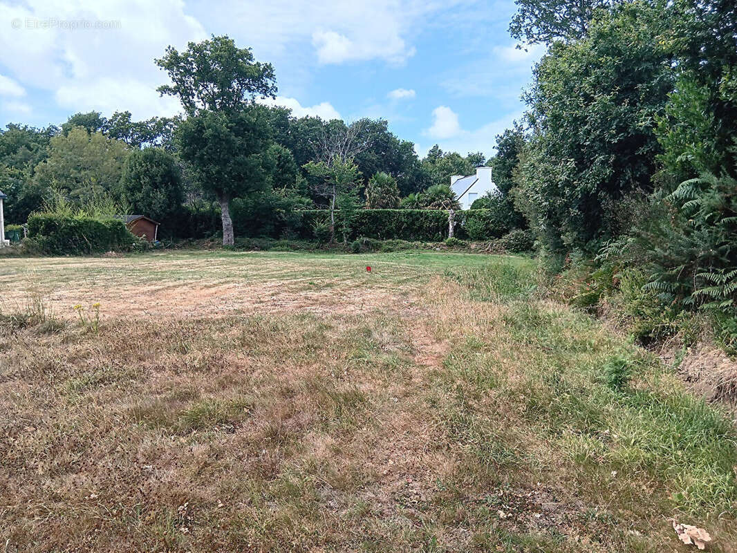 Terrain à SAINTE-ANNE-D'AURAY