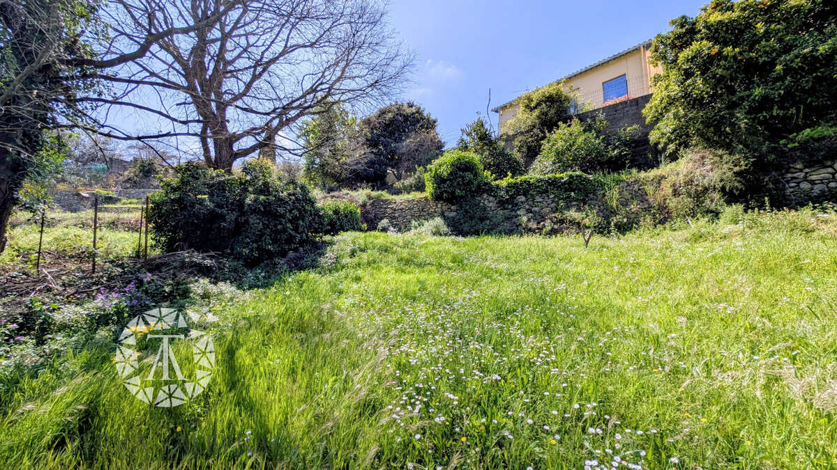 Maison à LAROQUE-DES-ALBERES