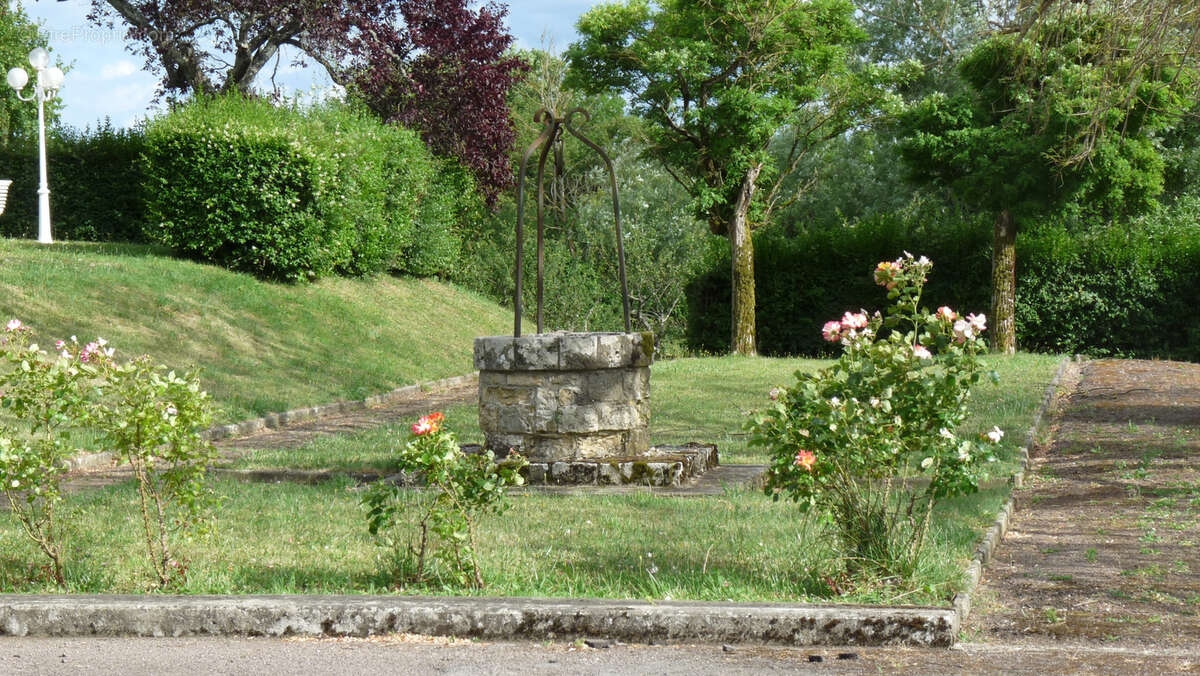 Vue panoramique sur Vézelay - photo 5
