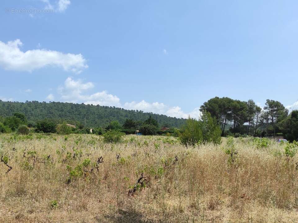 Terrain à GAREOULT