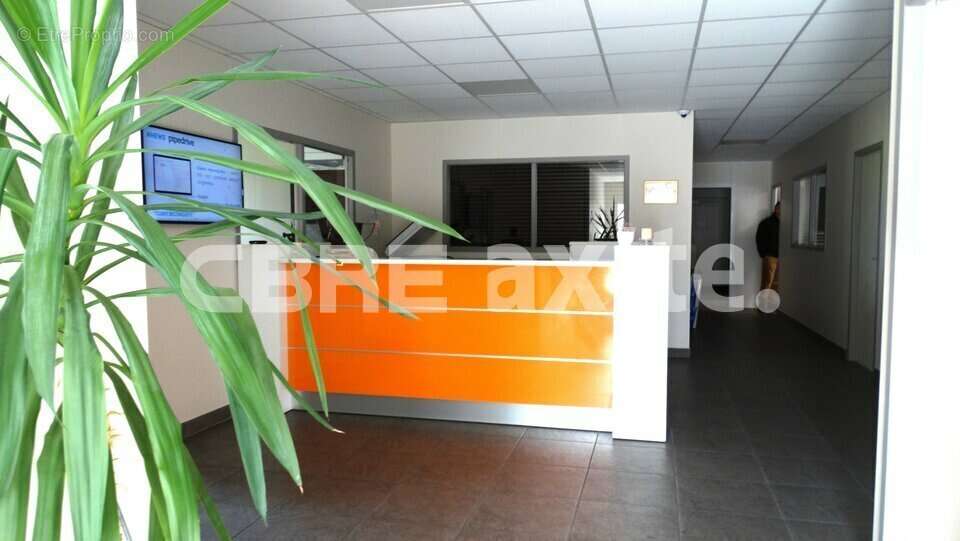 300 m² à Beaumont-Les-Valence  - photo 2