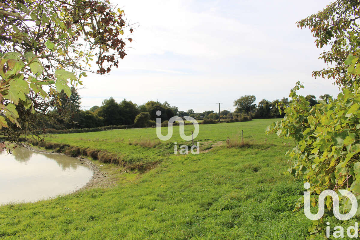 Photo 3 - Maison à SAINTE-GEMMES-LE-ROBERT