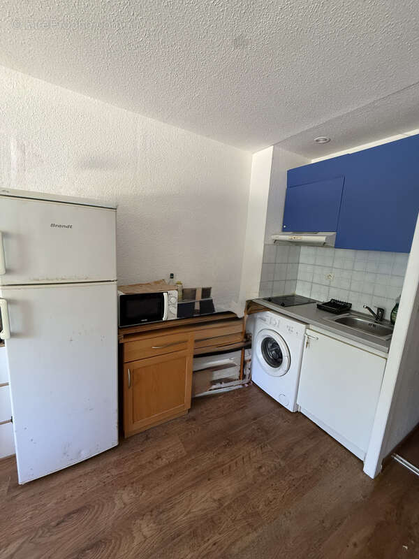 Studio pinede de  calvi - photo 3