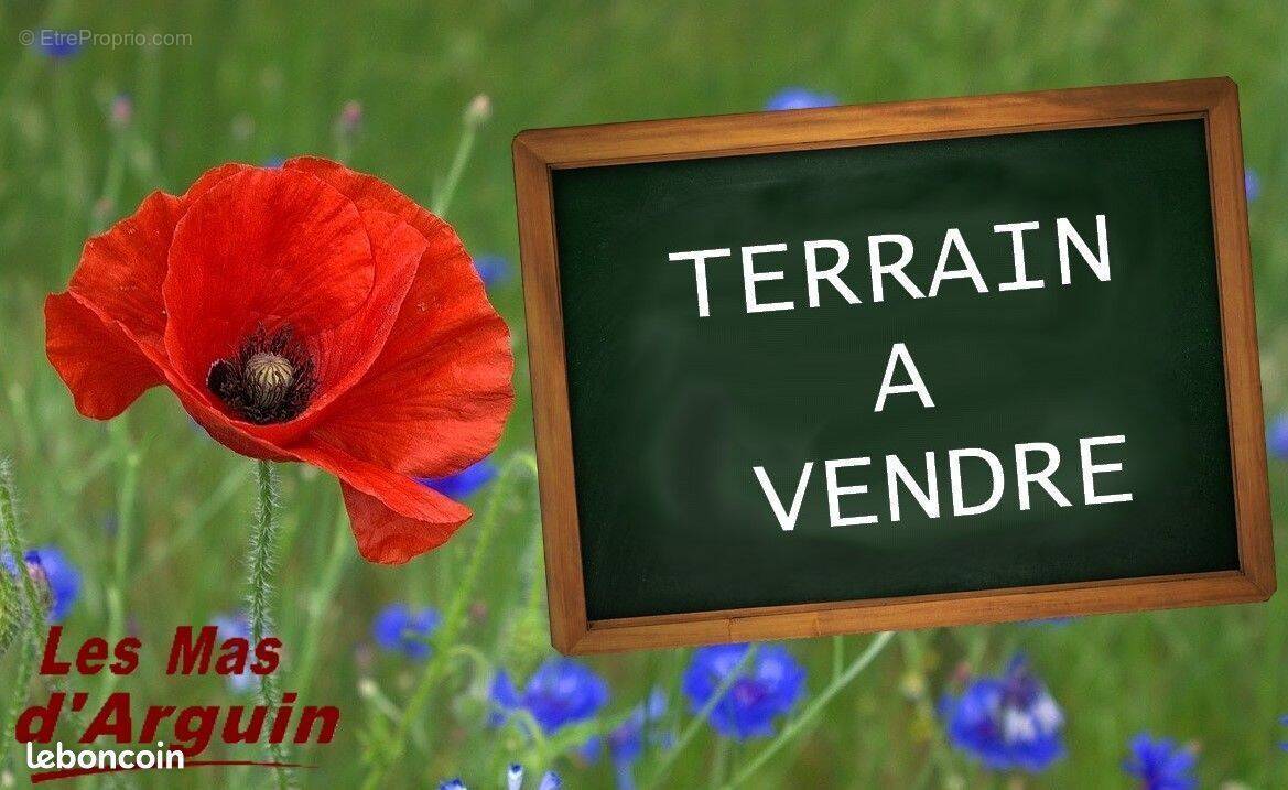 Terrain à LE PORGE