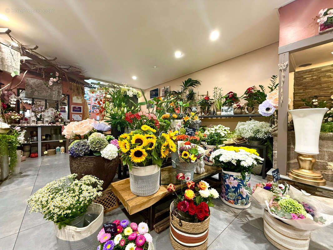 Commerce à NYONS