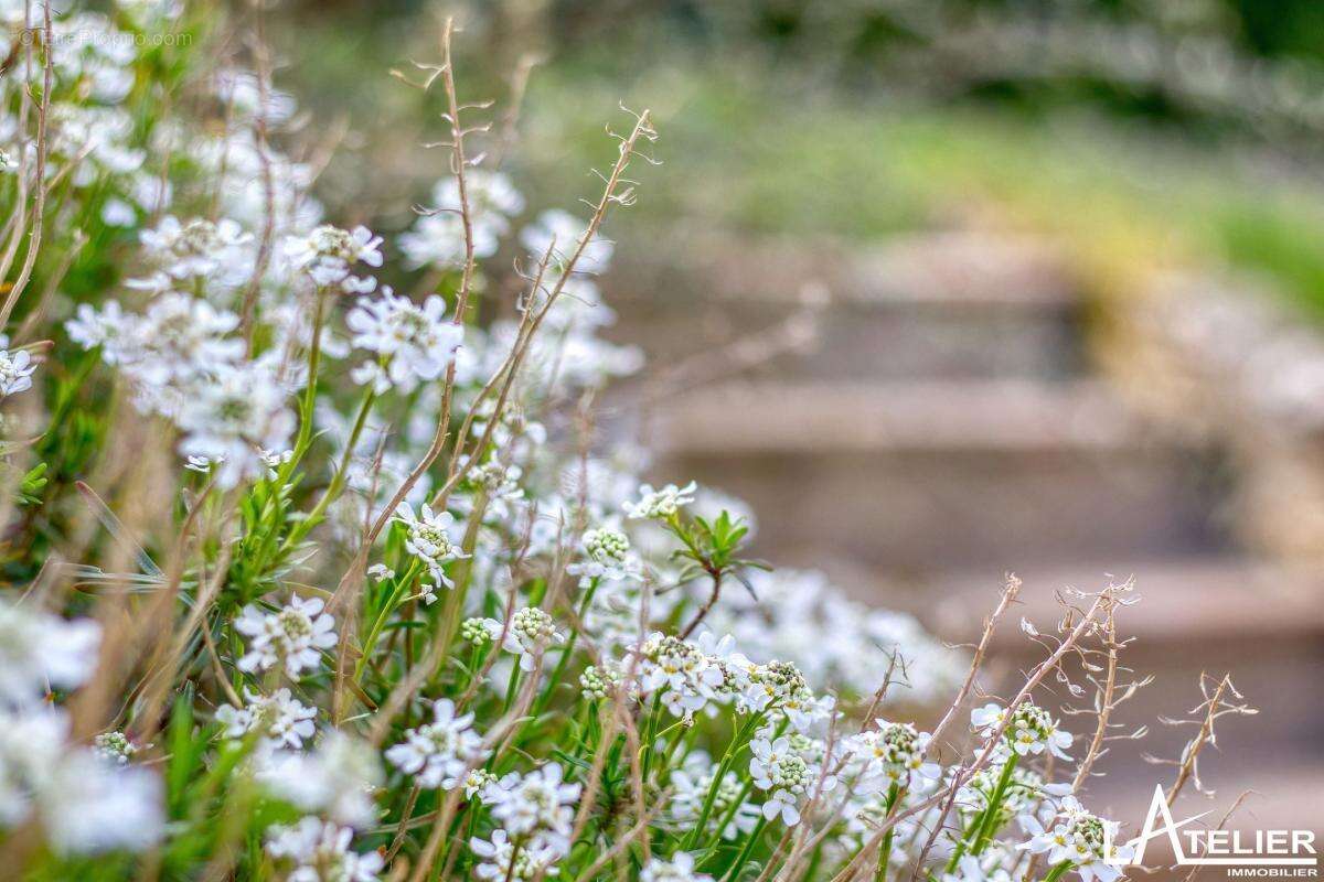 Maison à MAREIL-MARLY