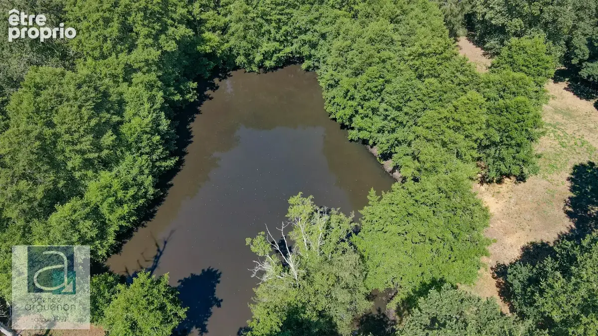 EREAC - Propriété de caractère en impasse avec étang et domaine naturel préservé - photo 13