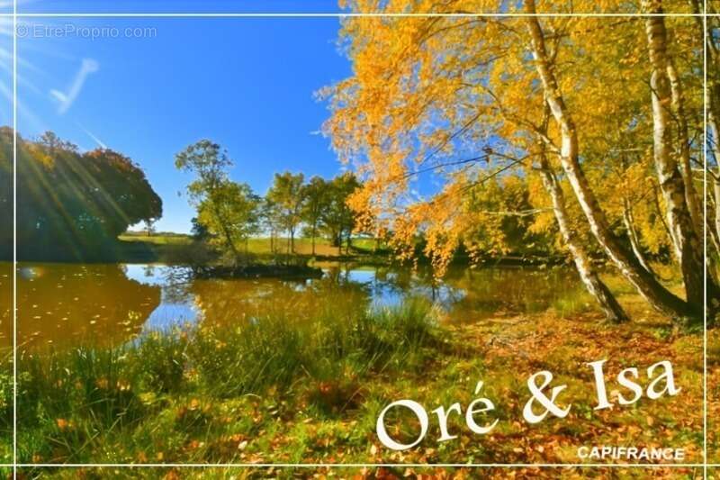 Terrain à SAINT-DESIRE