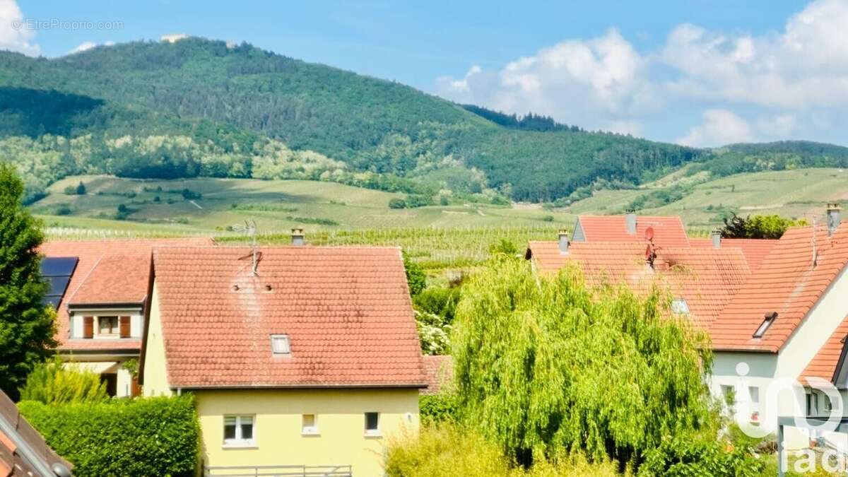 Photo 5 - Maison à EGUISHEIM