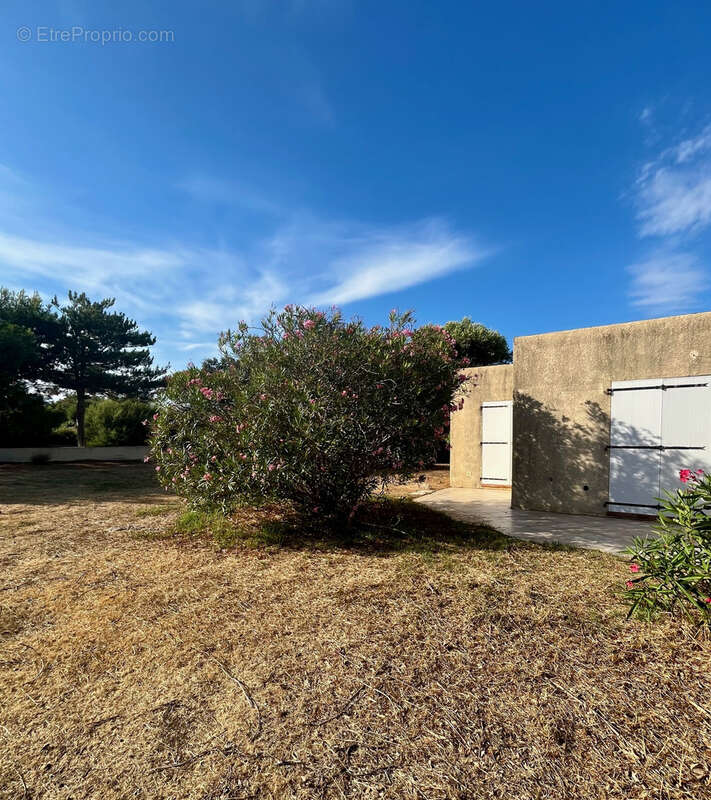 Propriété 4 logements à 1 km des plages - proche de la Réserve Naturelle de Spanu - photo 5