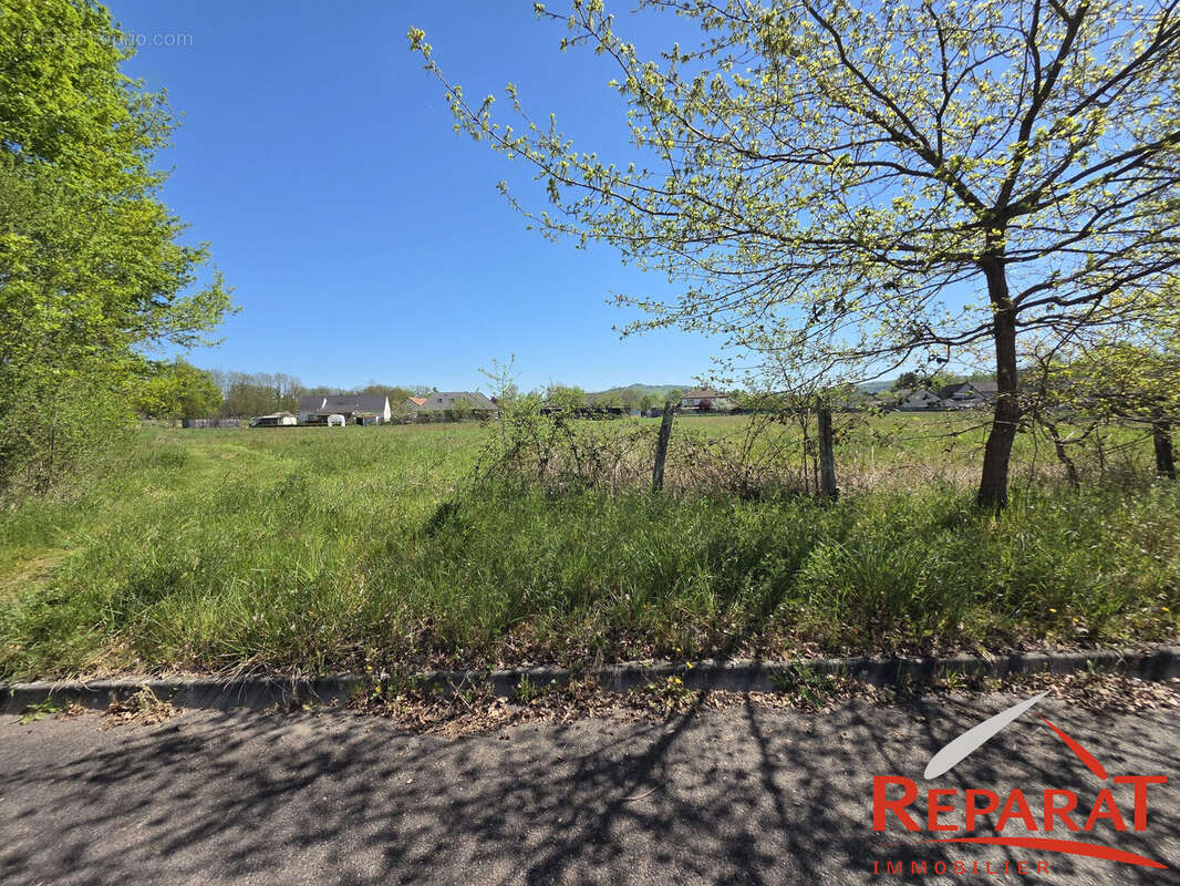 Terrain à SAINT-PANTALEON-DE-LARCHE