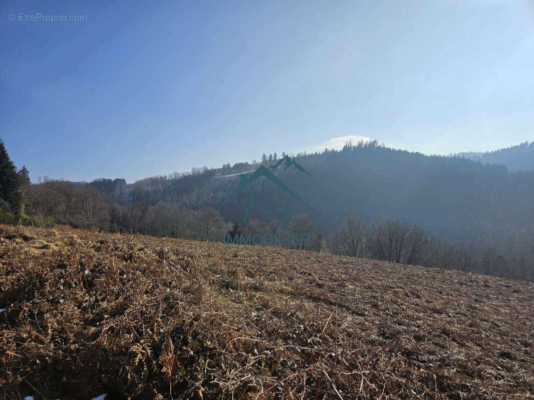 Terrain de 6500m2 dont 2300m2 constructible - photo 6