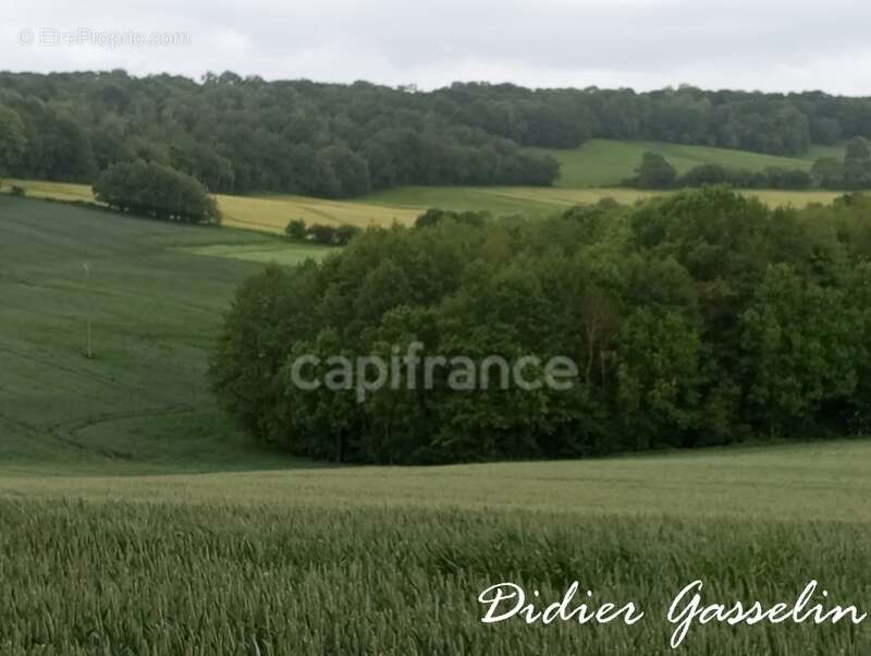 Terrain à vendre  BRUNELLES (28) - photo 7
