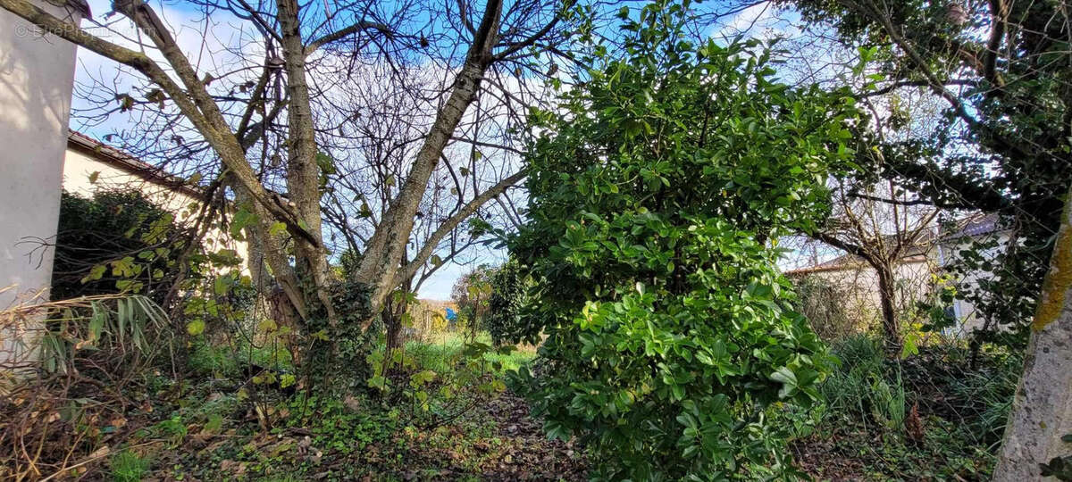 Maison à SAINT-FORT-SUR-GIRONDE