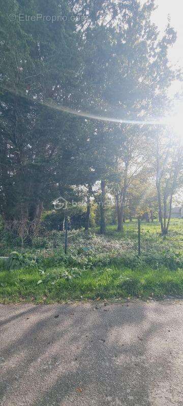 Terrain à MERVILLE-FRANCEVILLE-PLAGE