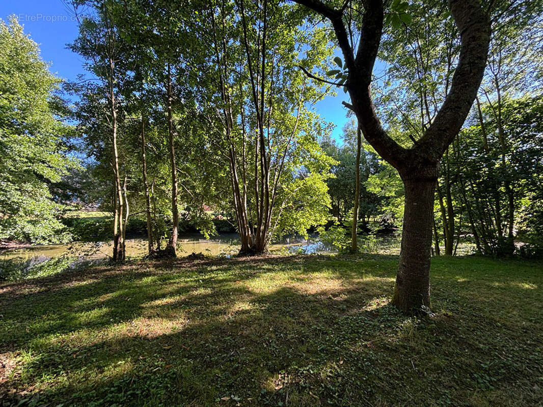 Fermette sur un terrain de 5 300 m² - photo 12