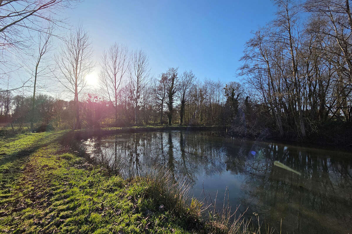 Terrain à SAINT-JUDOCE