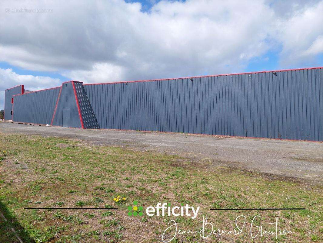 Commerce à PLOUMAGOAR