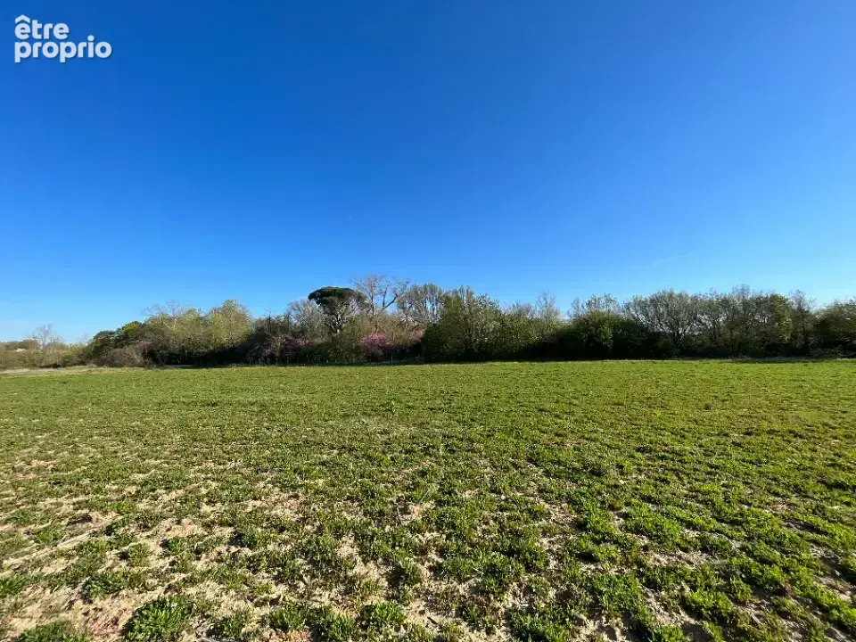 Terrain 321 m² à Labastide-D'anjou  - photo 2