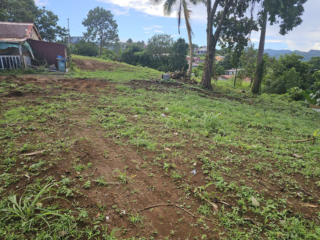 Terrain à SAINTE-MARIE