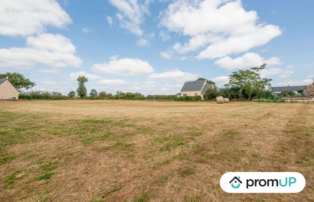 Terrain à SION-LES-MINES