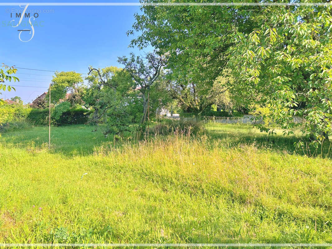 Terrain à SAINT-DENIS-LES-BOURG