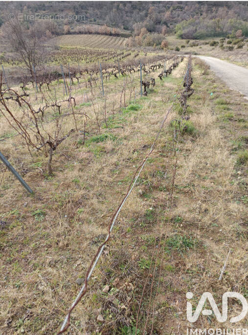 Photo 1 - Terrain à CARAMANY