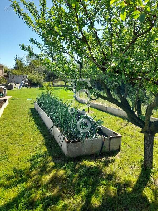 Maison à VILLEVEYRAC