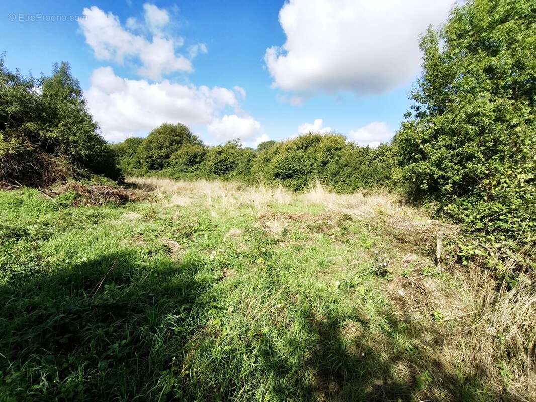 Charmante maison semi-mitoyenne avec granges, verger et plus de 5 000 m² de terrain - photo 12