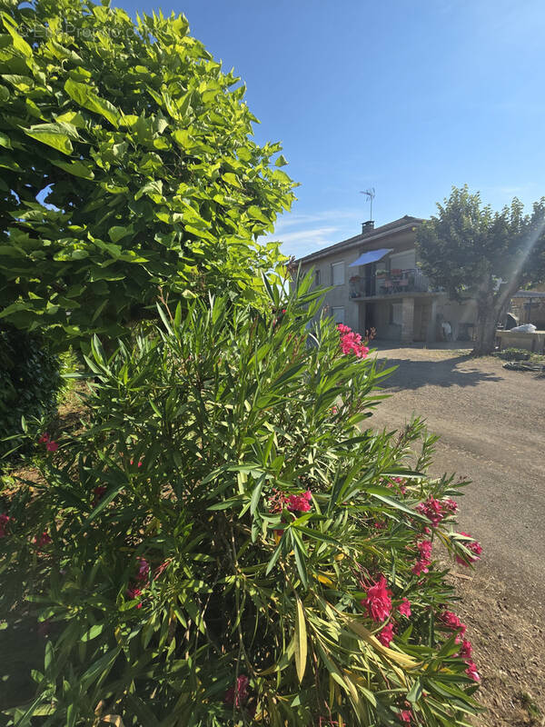 Maison à REPLONGES
