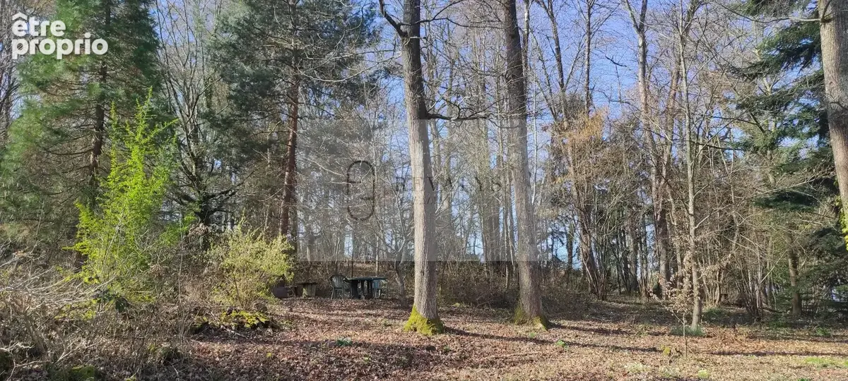 AUTUN 71400 Maison 90 m2 3 Chambres Grand sous-sol Grand parc sur 1,3 hectare - photo 4