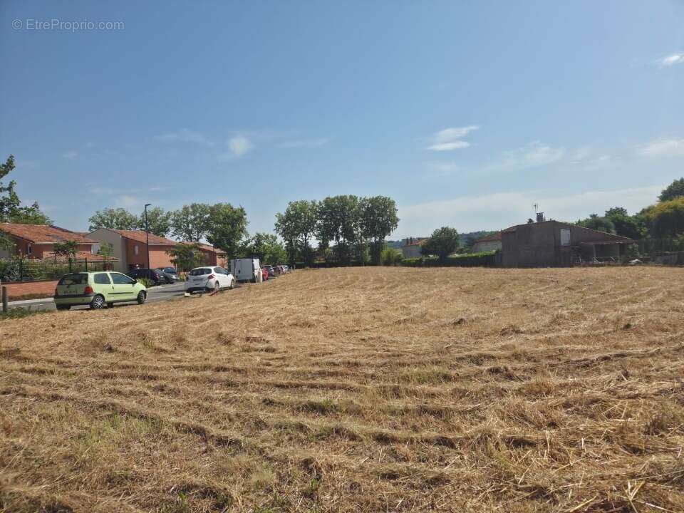 Terrain à PINS-JUSTARET
