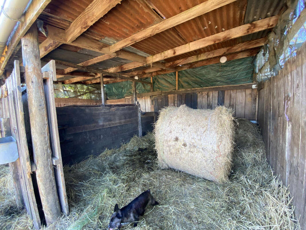 box - Maison à SAINT-PRIVAT-DES-PRES