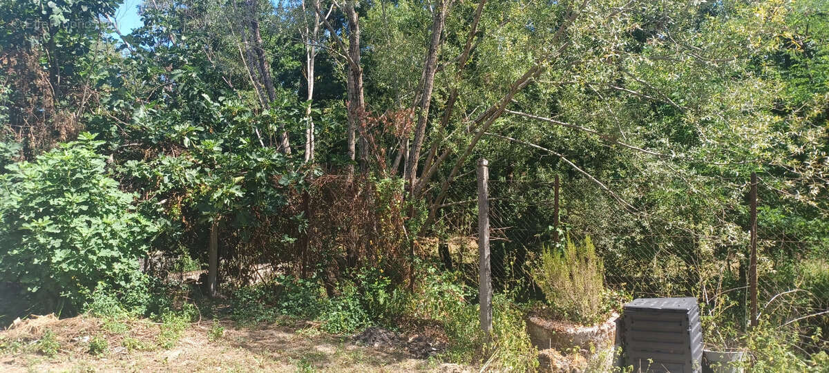 Maison de village en pierre à rénover sur deux niveaux sur 272m2 de terrain - photo 3