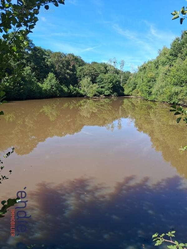 Terrain avec etang - photo 11