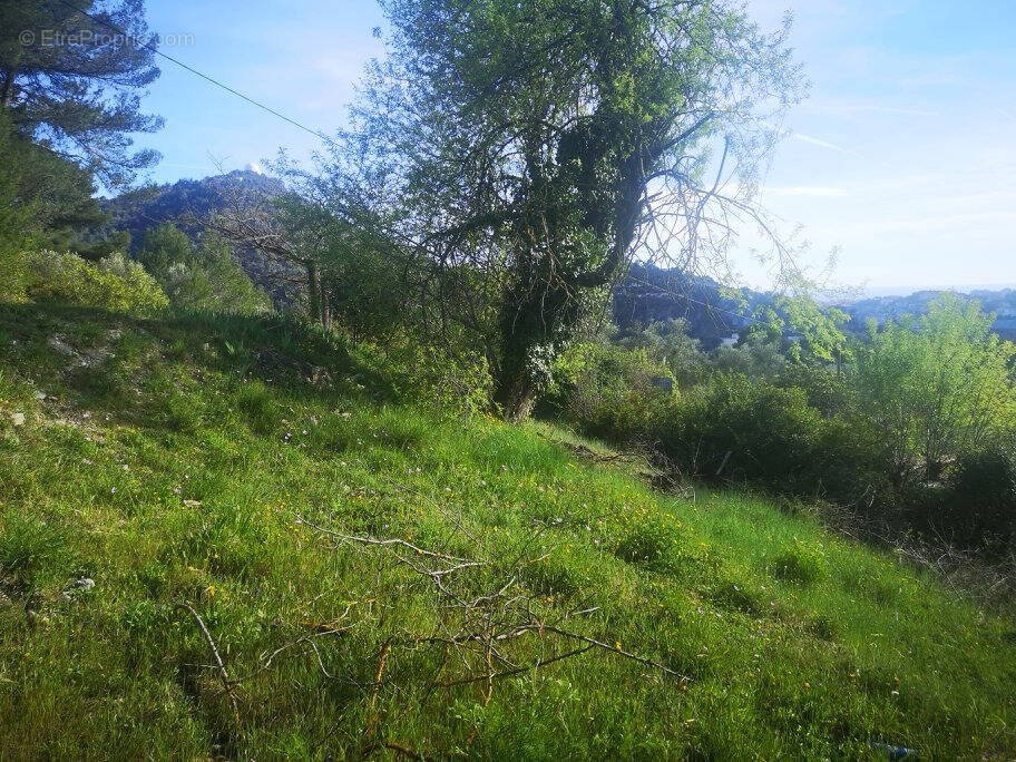 Terrain à SAINT-ANDRE-DE-LA-ROCHE