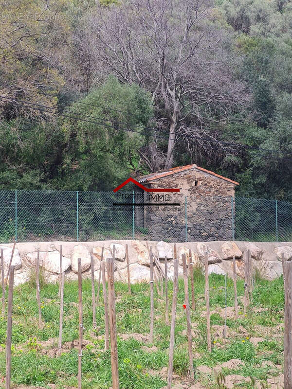 Terrain à BANYULS-SUR-MER