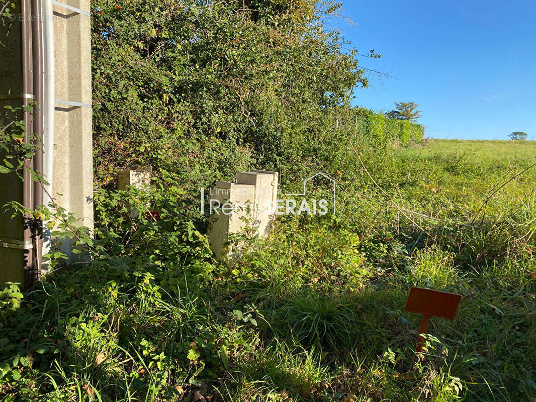 Terrain à SAINT-DENIS-DE-MERE
