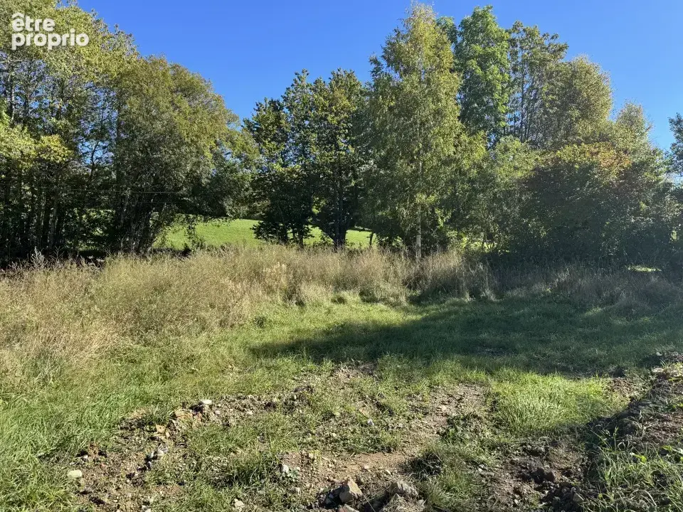Terrain 563 m² à vendre à Forest-Saint-Julien (05260) - photo 3