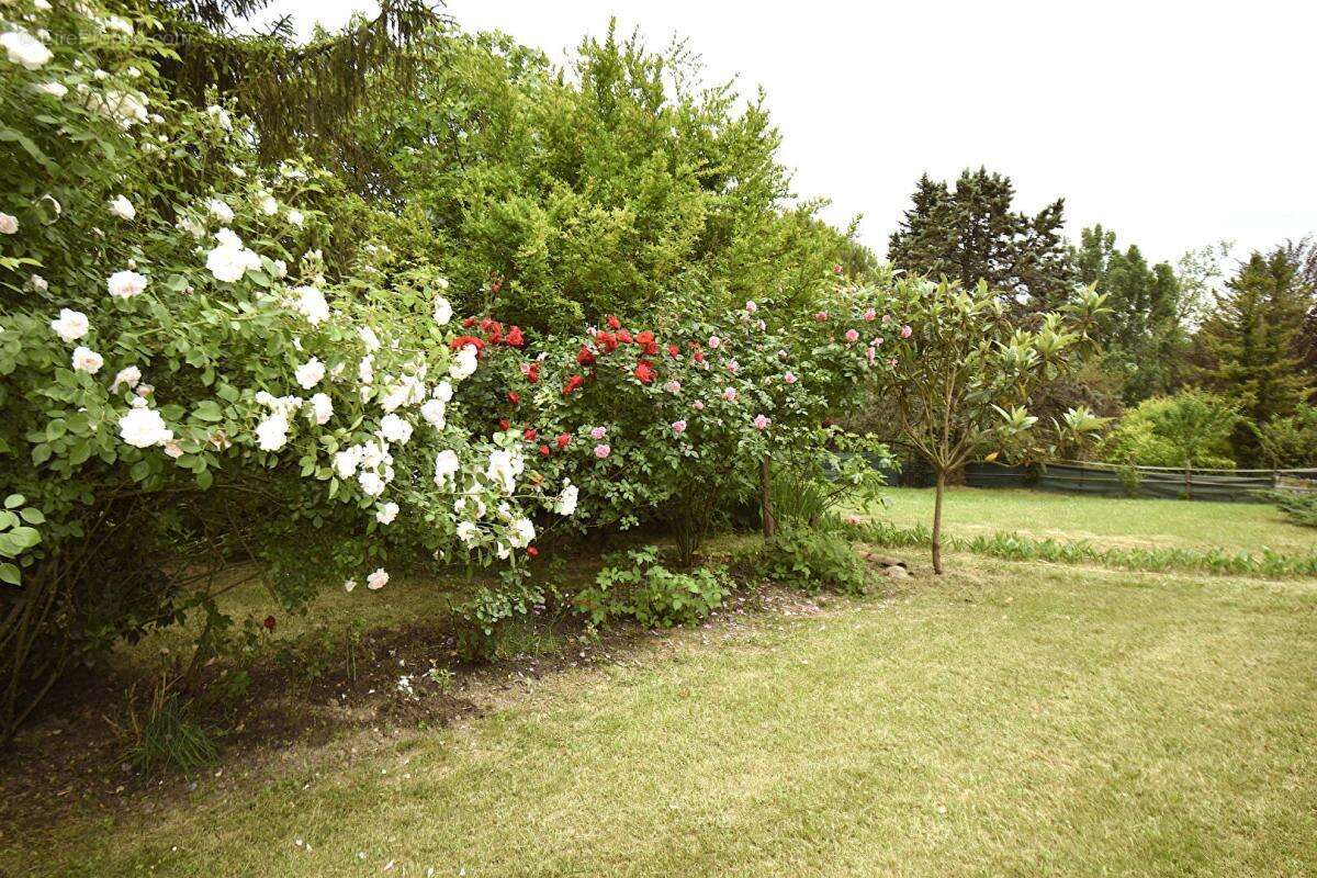 82130, Montastruc, Montauban Nord, Maison plain pied, 160 m², 6 pièces, 3/4 chambres sur 1,5 hA de terrain - photo 2
