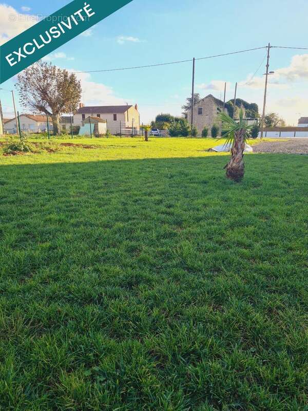 Photo 2 - Terrain à NALLIERS