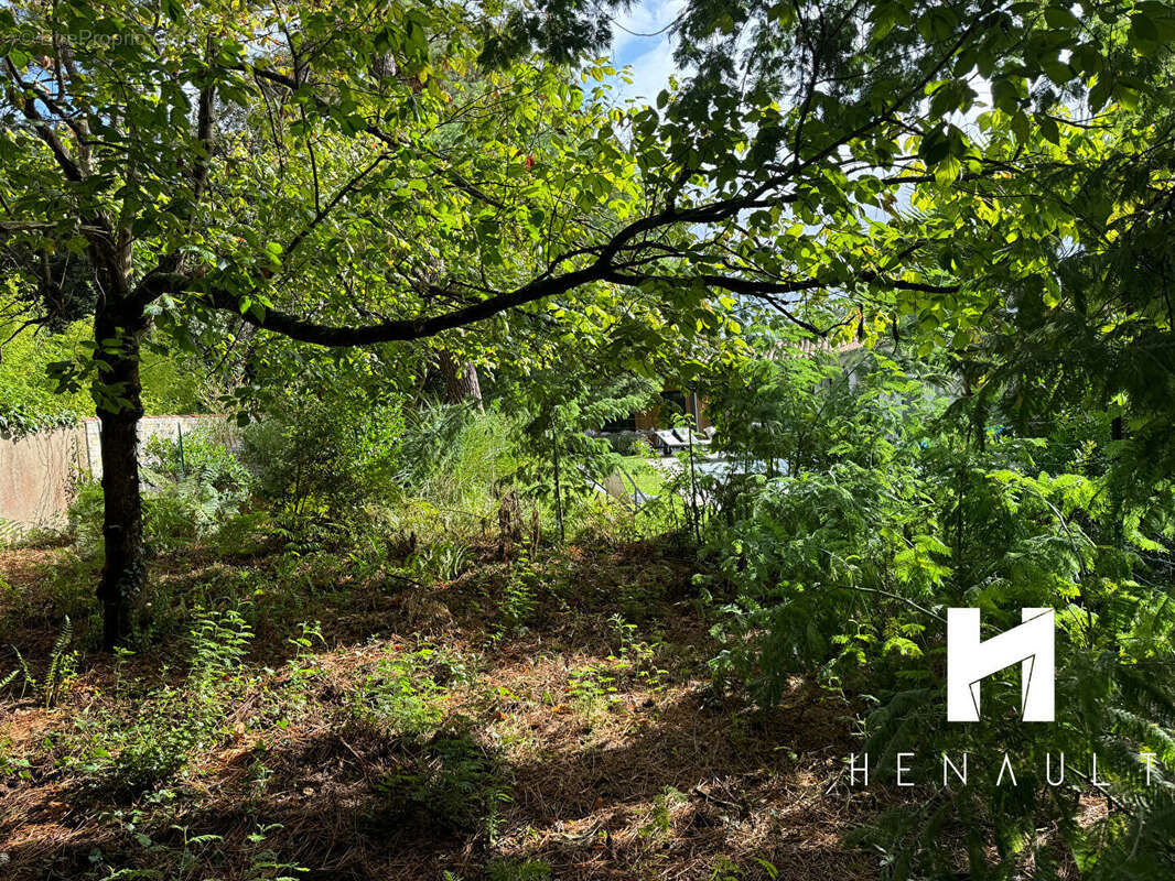 Terrain à RIVEDOUX-PLAGE