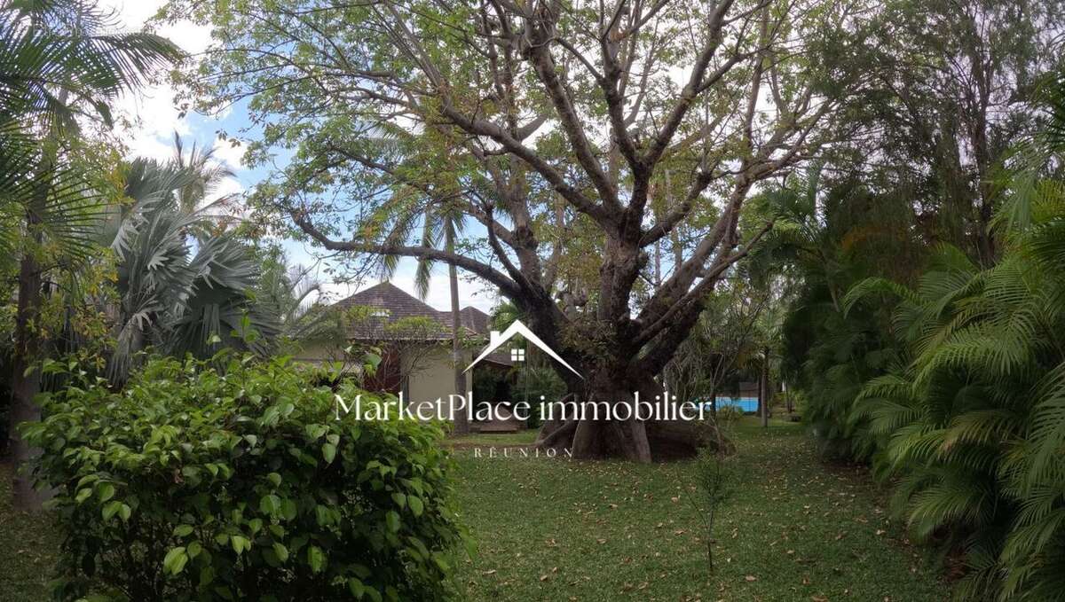 sublime jardin tropical - Maison à SAINT-PAUL