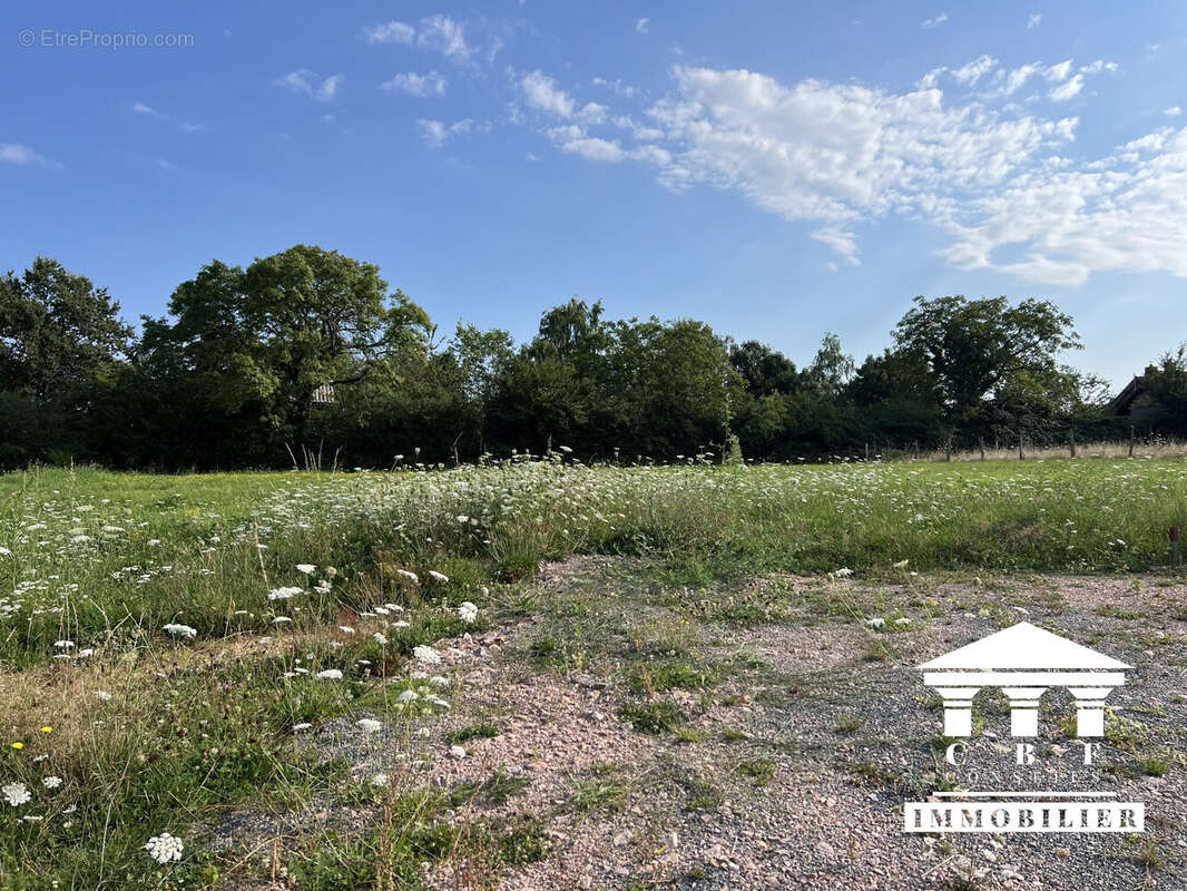 Terrain à SAINT-SERNIN-DU-BOIS