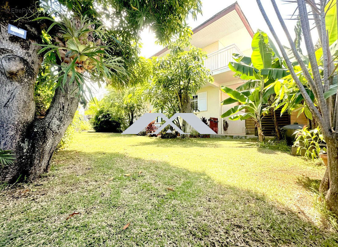 Maison à PETITE-ILE