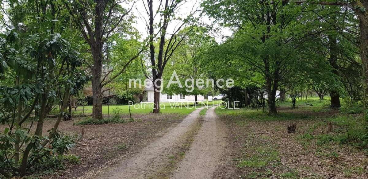 Maison de campagne avec piscine et grand terrain - photo 3